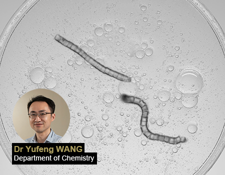 MicroSpine with Shape-Transforming Properties for Targeted Cargo Delivery at Microscale